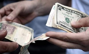 El Banco Central legaliz&oacute; a los &ldquo;arbolitos&rdquo;