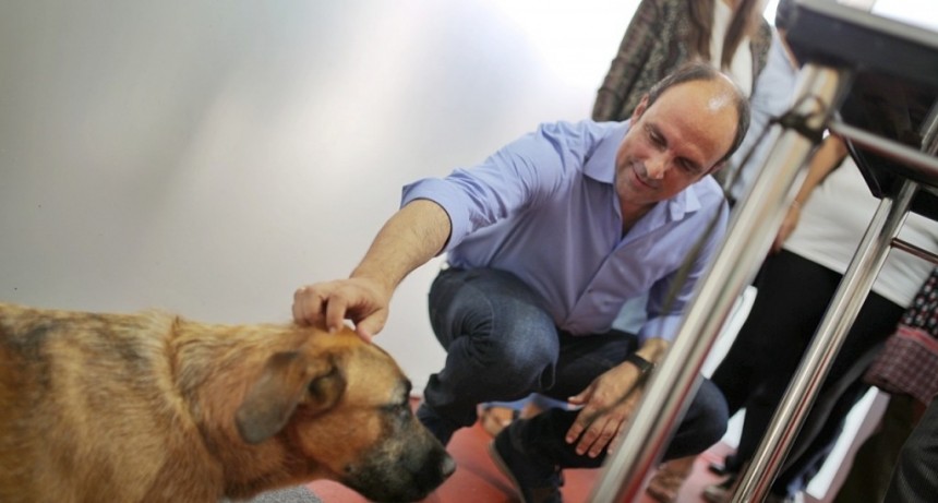 Desde este lunes comenzar&aacute; a funcionar la Casa de las Mascotas Norte