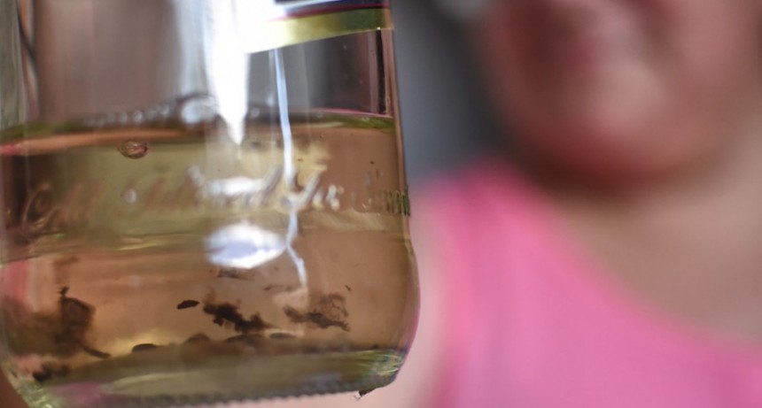 La Municipalidad capacita a promotores ambientales para prevenir el dengue