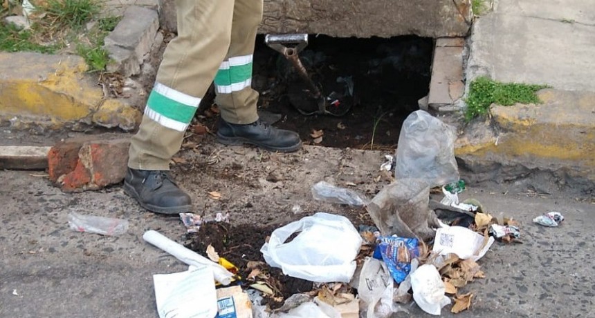 Trabajos de fumigaci&oacute;n, bacheo, iluminaci&oacute;n y drenaje urbano previstos para este mi&eacute;rcoles