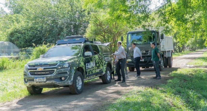 Nuevas especies llegaron a Santa Fe para ser reinsertados en sus h&aacute;bitats