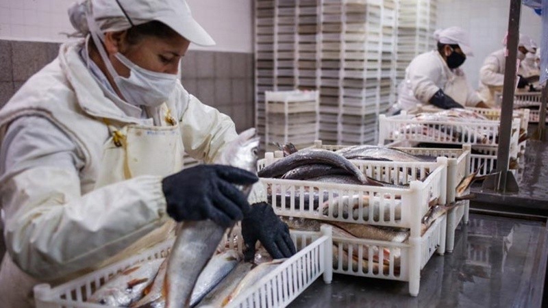 Suspenden por un año la exportación de pescado en Santa Fe