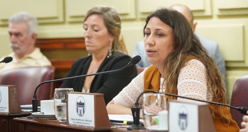 Fentanilo contaminado: Diputados Provinciales aprobaron una declaraci&oacute;n de apoyo a las familias de las v&iacute;ctimas