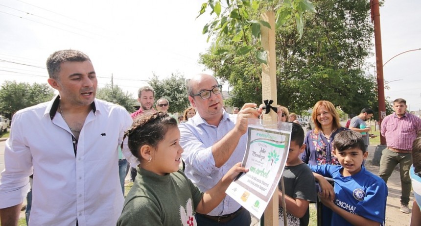 Los frentistas ser&aacute;n &ldquo;padrinos&rdquo; de los &aacute;rboles plantados en Avenida Pe&ntilde;aloza