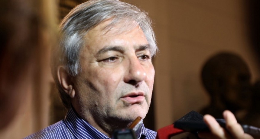 Michlig: &ldquo;La situaci&oacute;n del Estado es extrema, hay dificultades muy serias&rdquo;
