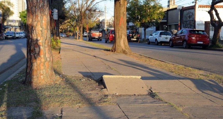 La Municipalidad licit&oacute; las obras para modernizar la avenida J.J. Paso