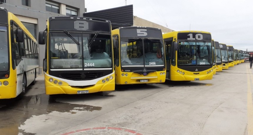 Por paro de choferes, no se presta el servicio de transporte urbano e interurbano