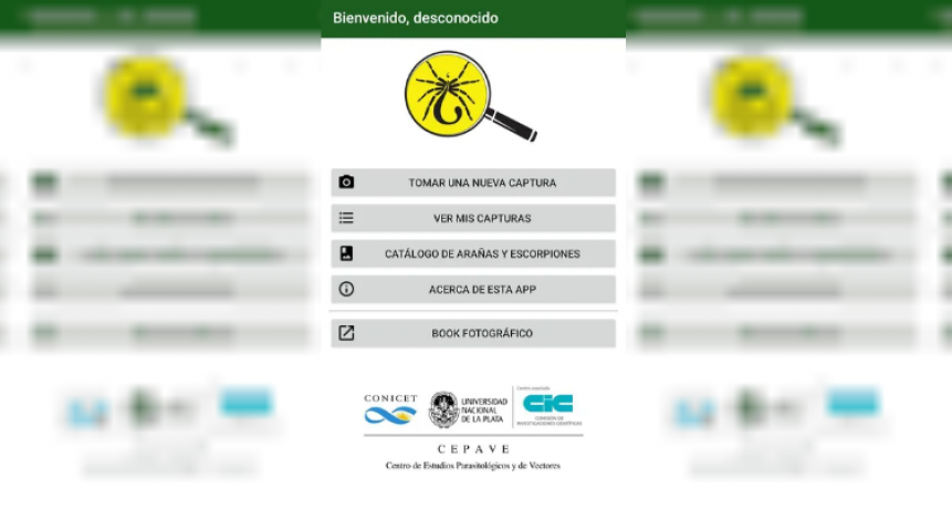 Alerta alacranes: promueven una app con consejos y datos &uacute;tiles