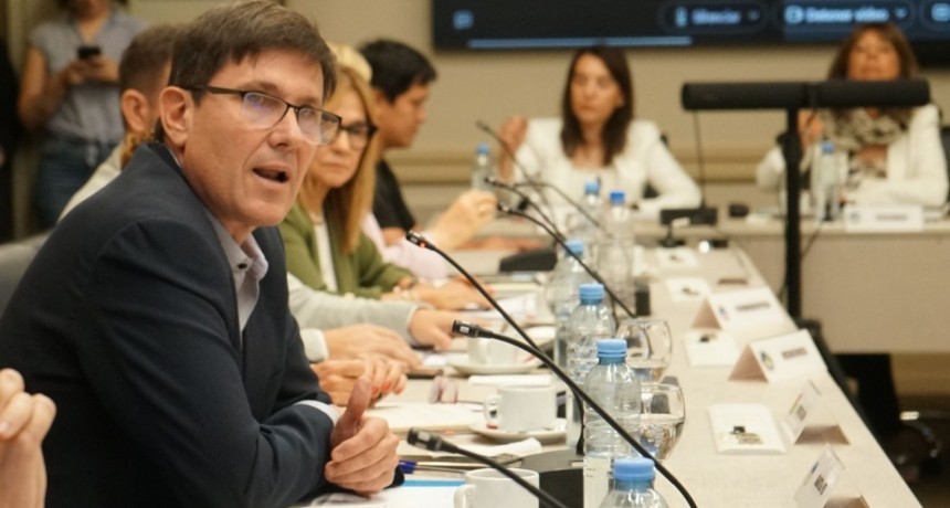 Goity llev&oacute; la agenda de Santa Fe al Consejo Federal de educaci&oacute;n