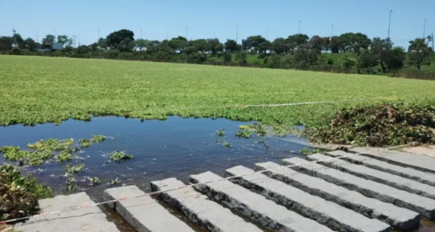 La Municipalidad de Santa Fe trabaja para recuperar el Lago del Parque Sur