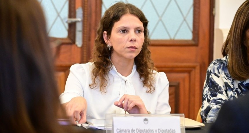 Gisel Mahmud: &ldquo;Con un Estado eficiente Santa Fe vuelve a ser un faro para la Argentina &rdquo;