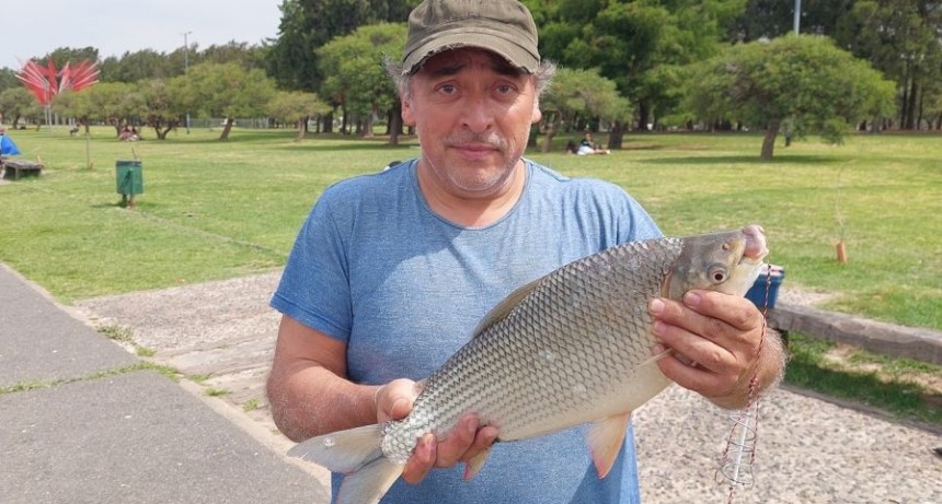 Pesca comercial: Santa Fe y Entre R&iacute;os fijan un cupo y unifican la veda del s&aacute;balo